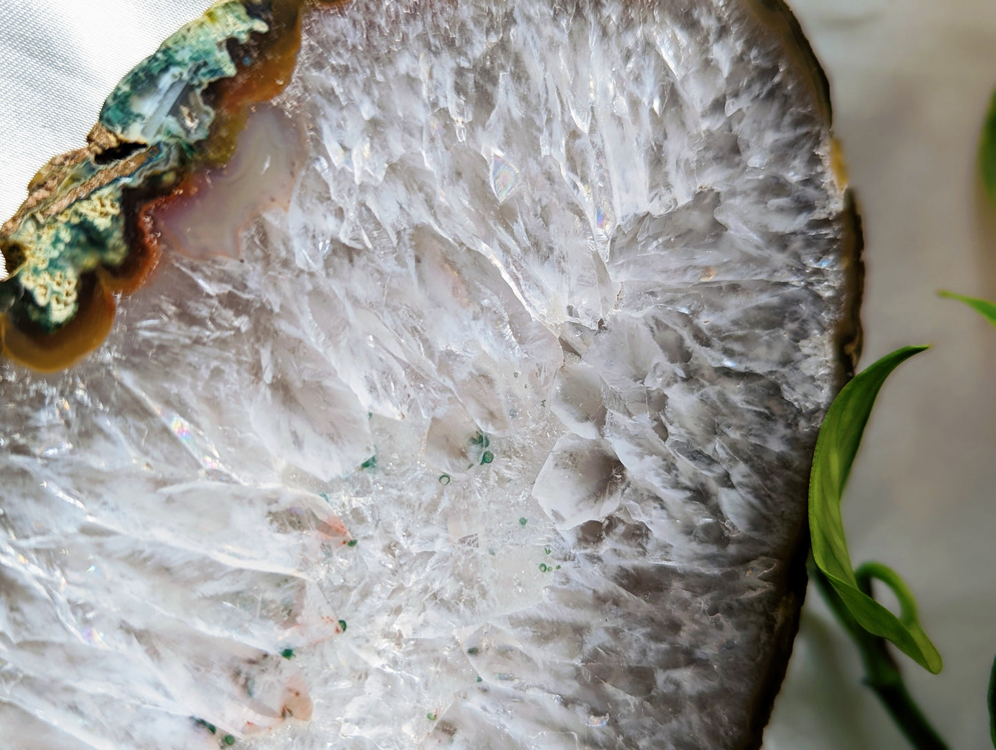 Natural agate geode slab close-up showing beautiful crystal cavity and banding detail