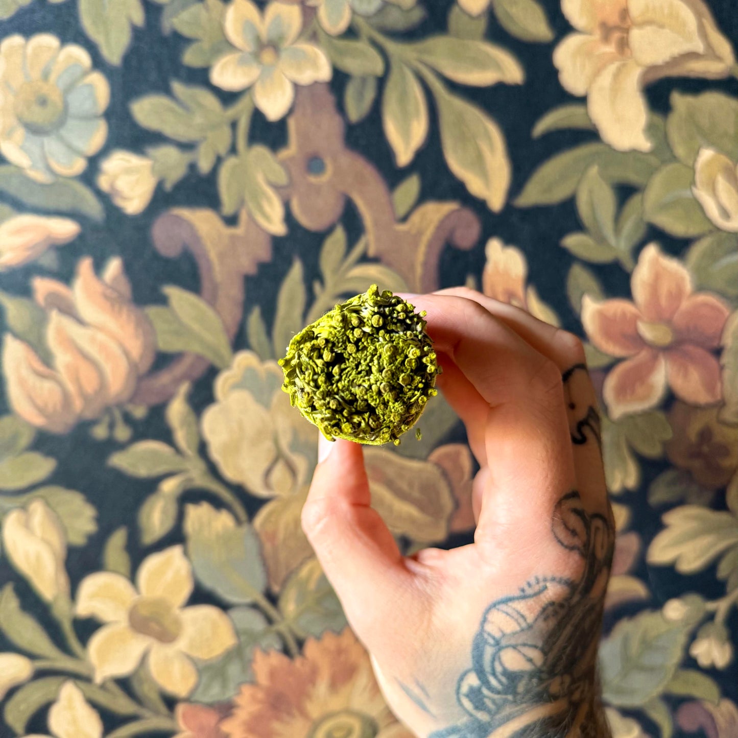 Hand holding a green patchouli sage against a floral-patterned background