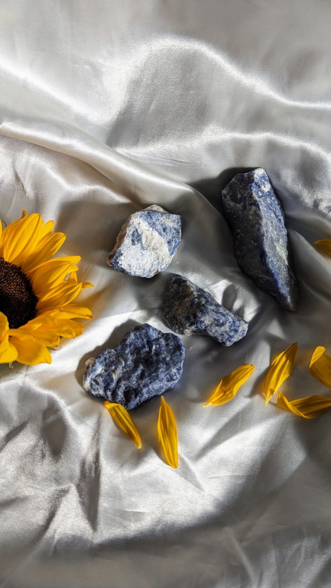 Sodalite - Best Life Apparel