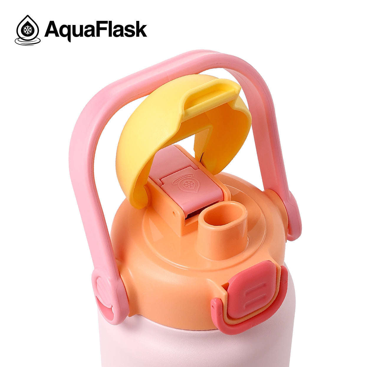 pink lid AquaFlask Jug 1.18L showing double wall insulated stainless steel construction
