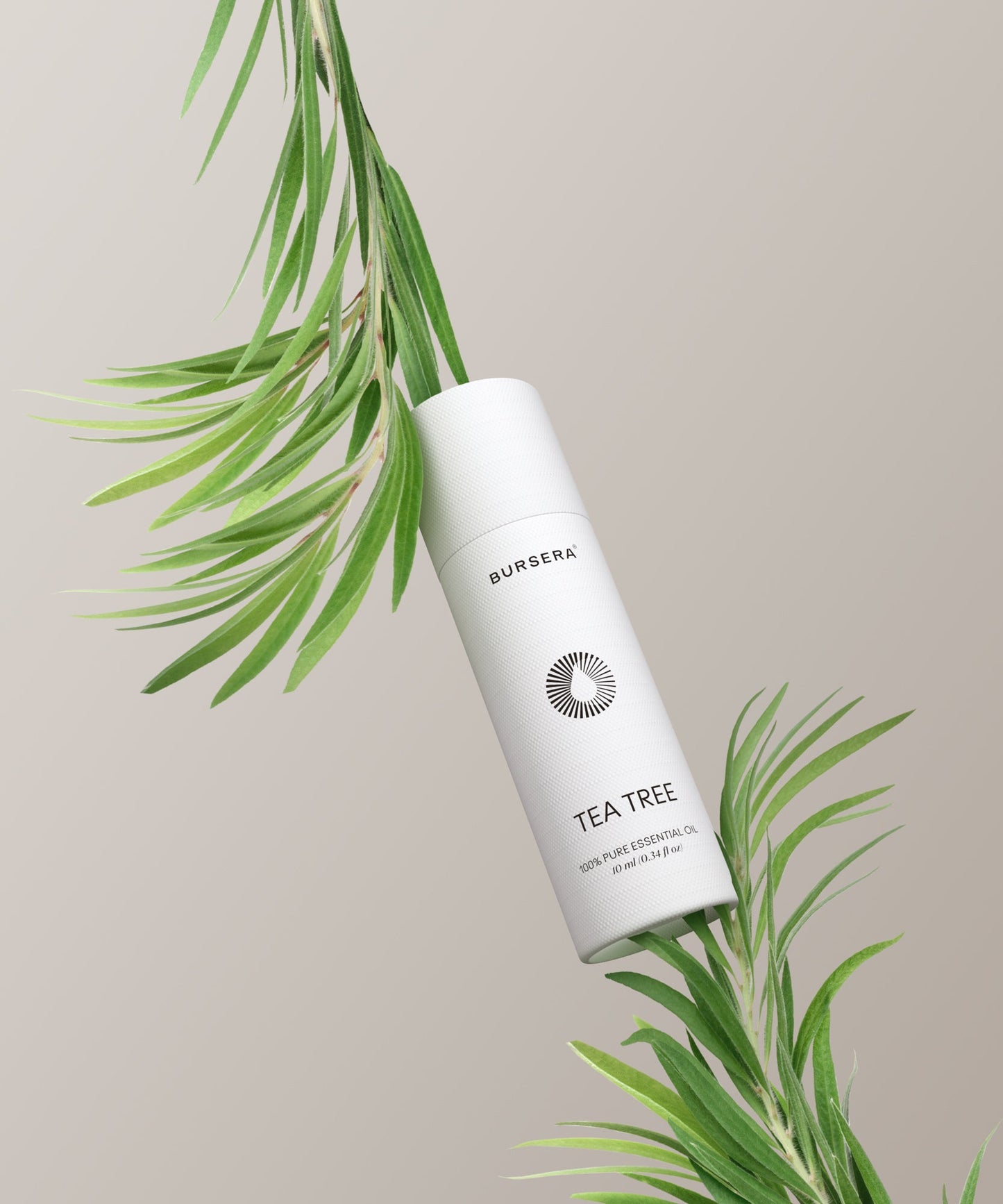 organic tea tree essential oil aromatherapy bottle with tea tree leaves on a beige background