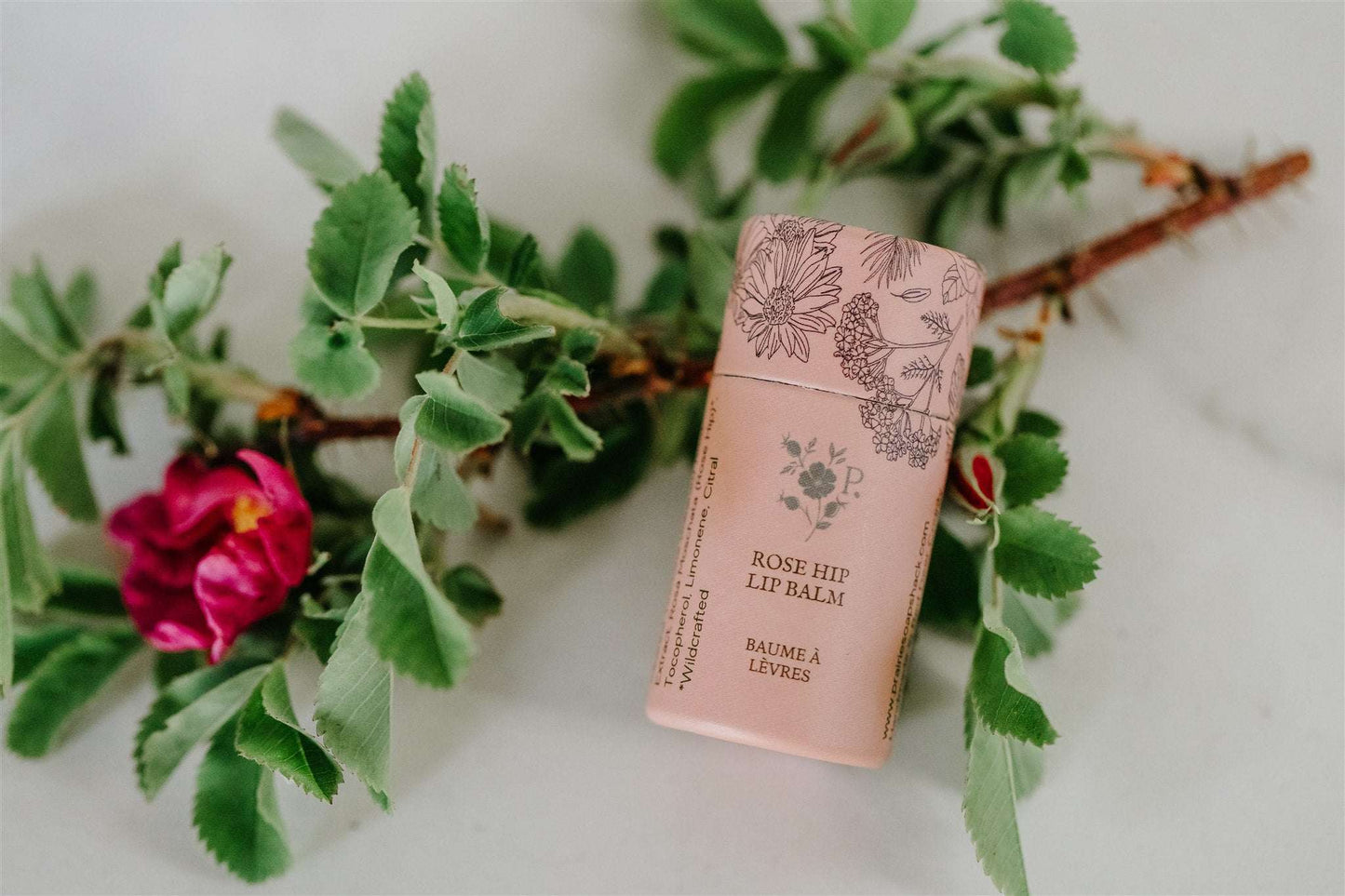 Nourishing and healing rose hip lip balm for soft, smooth and healthy lips