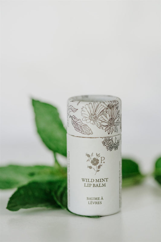Lip balm container with floral design and 'Wild Mint' text on a light background with green leaves.