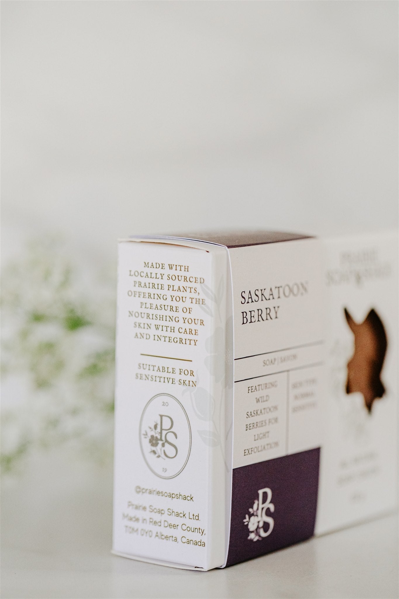 Citrus and berry soap bar in lifestyle setting for daily skin cleansing