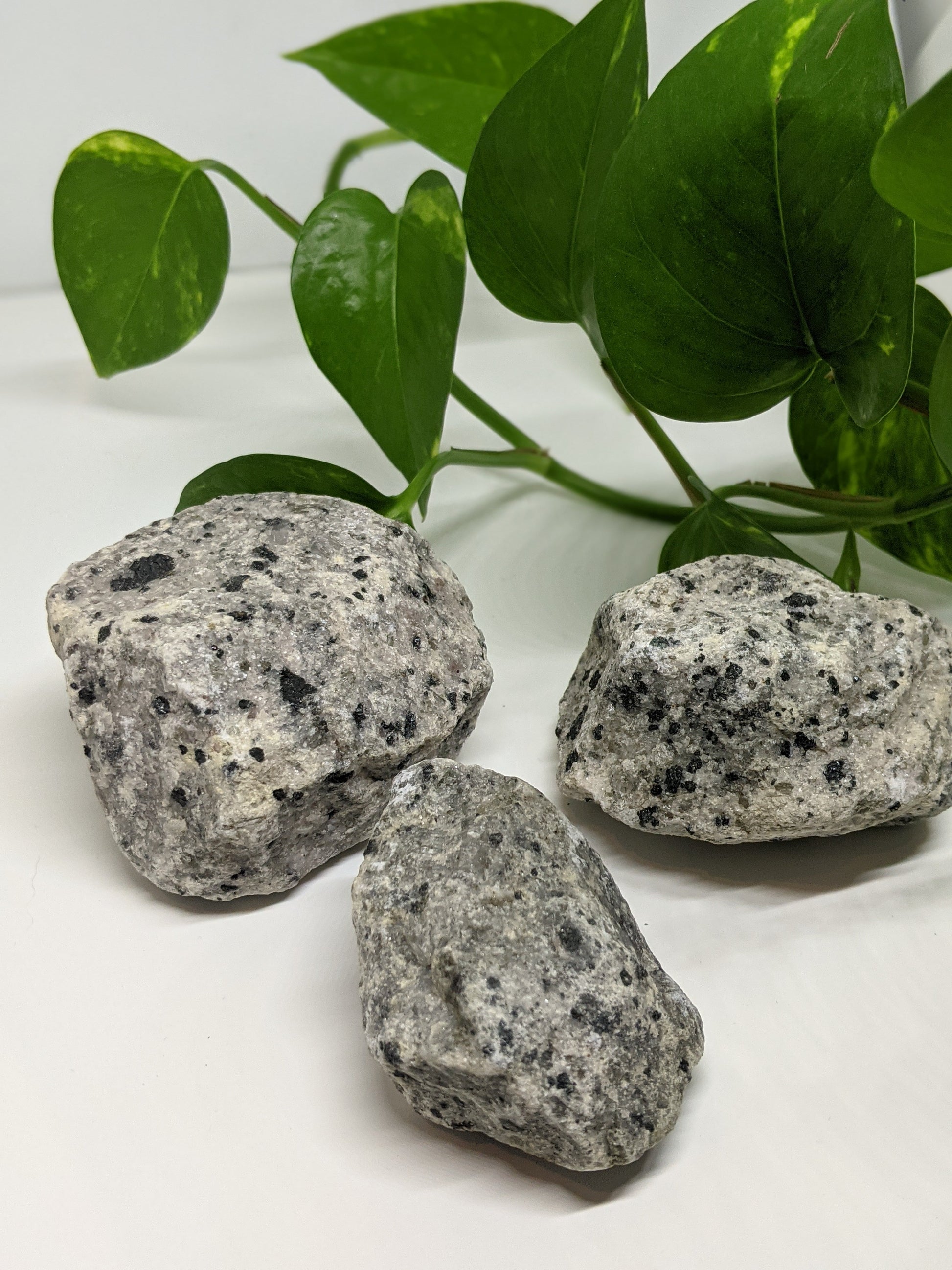 Playful and grounding dalmatian jasper chunks for joy, loyalty and positive energy
