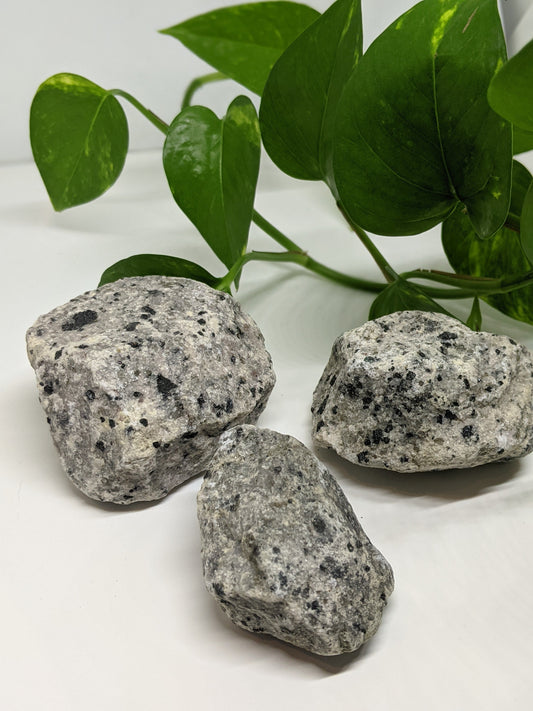 Playful and grounding dalmatian jasper chunks for joy, loyalty and positive energy