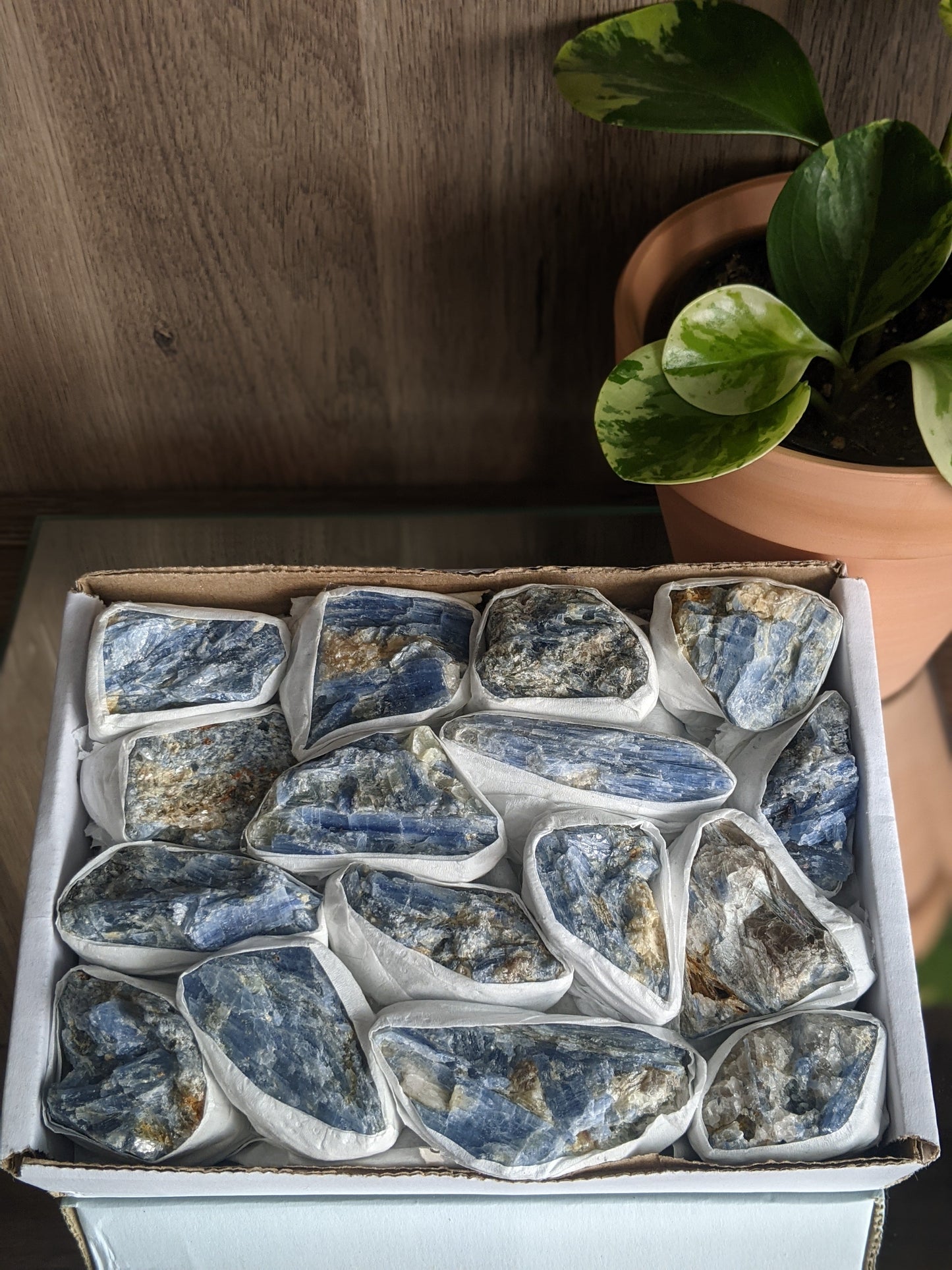 Aligning and communication-enhancing blue kyanite blades for chakra balance and clarity