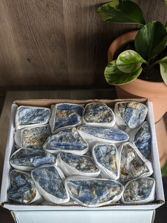 Aligning and communication-enhancing blue kyanite blades for chakra balance and clarity
