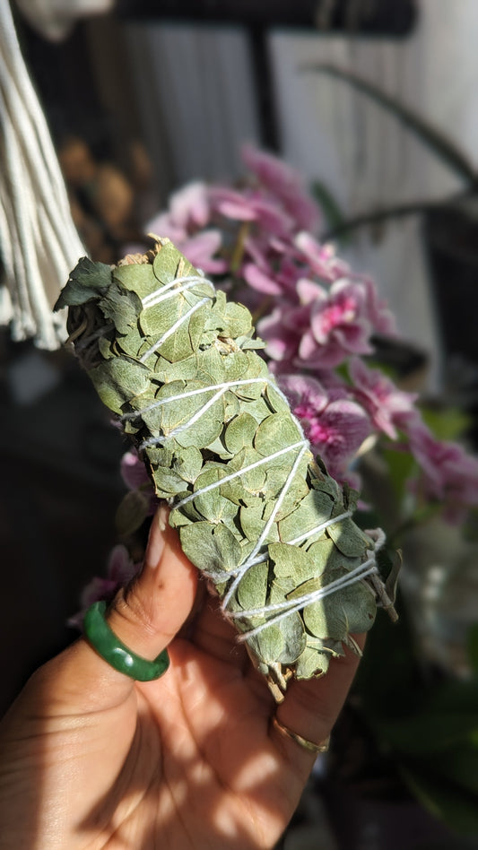 Refreshing and purifying white sage and eucalyptus smudge bundle for cleansing and clarity