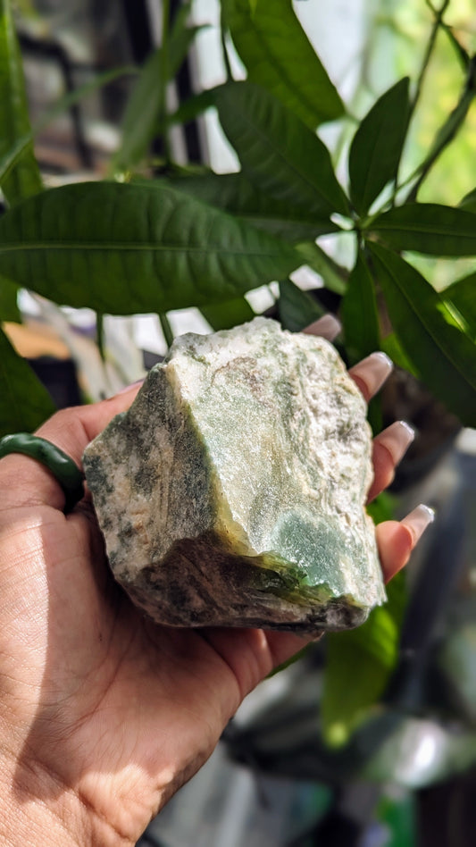 Nurturing and abundance-attracting tree agate crystal for growth and inner peace