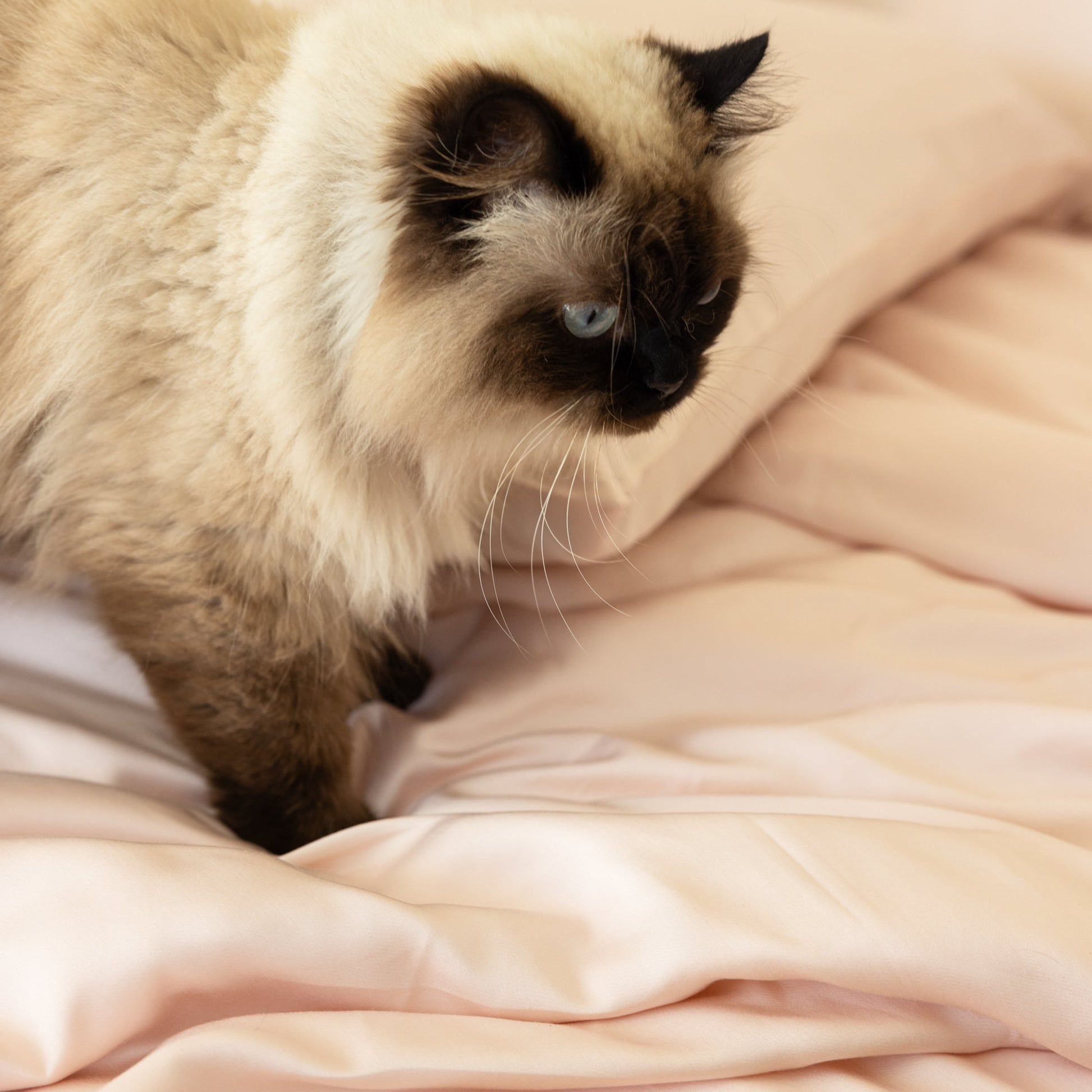 Misty Lilac bamboo sateen duvet cover — soft breathable luxury bedding