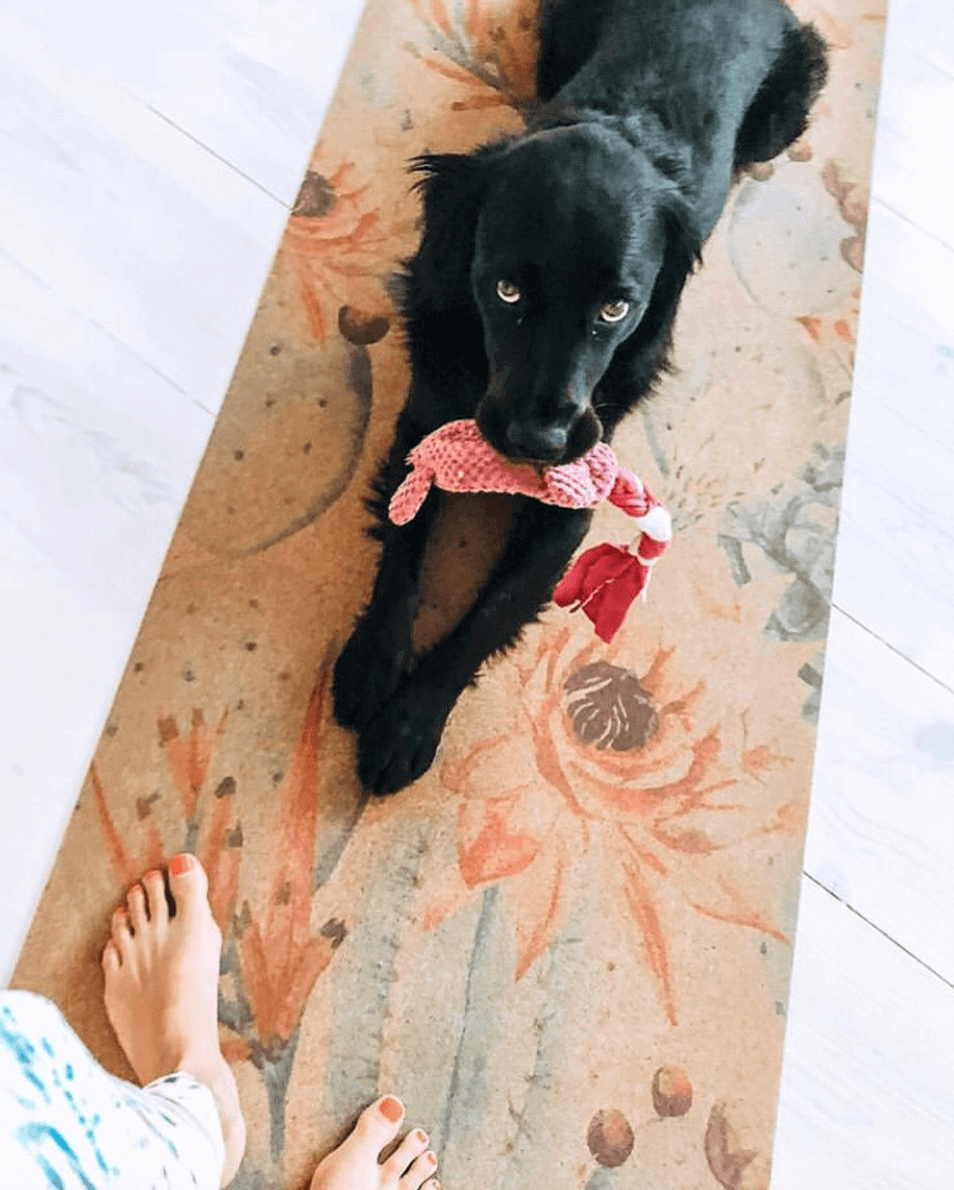 Black dog lying on a floral-patterned cork yoga mat with a pink toy, next to a person's feet.