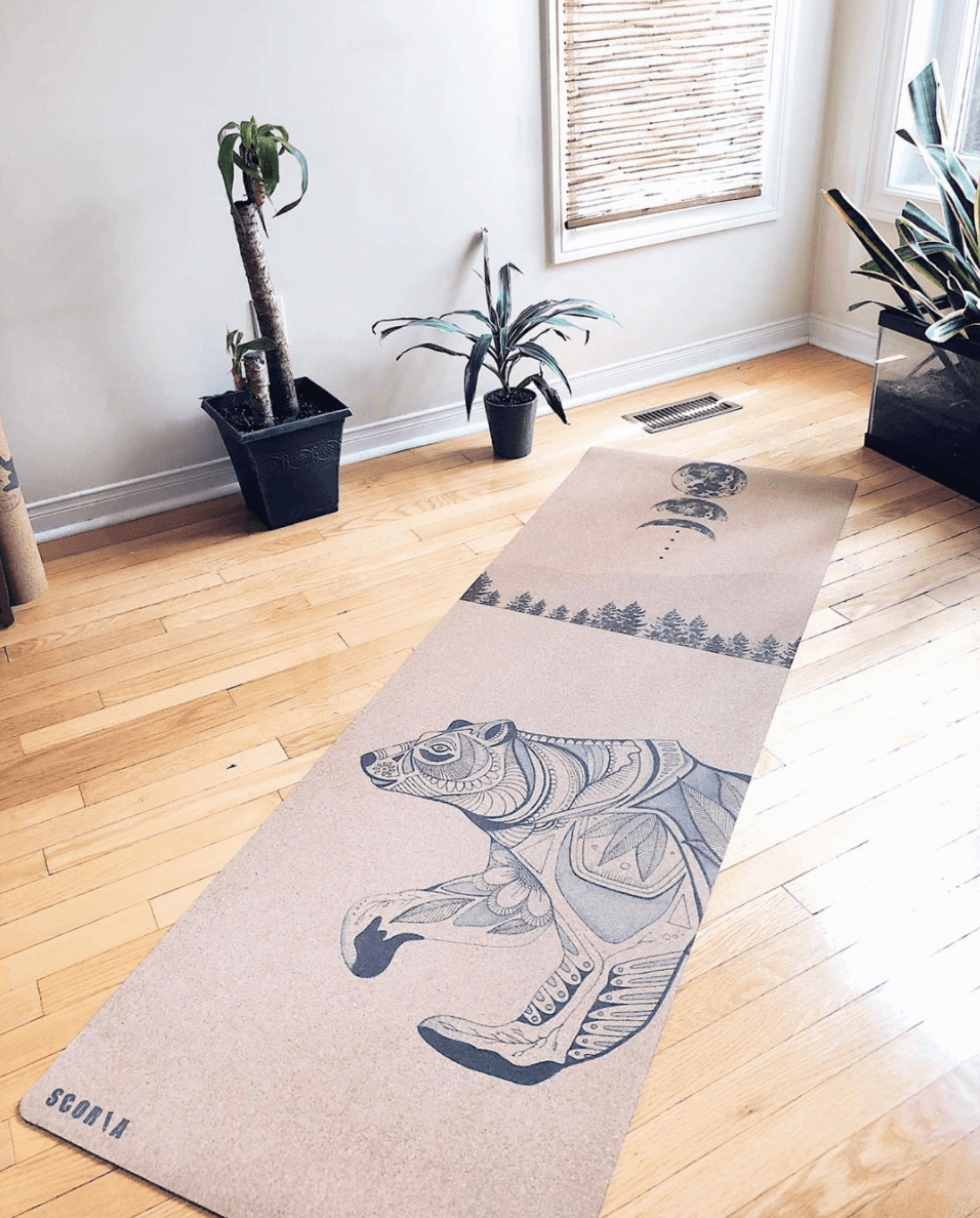 Yoga mat with bear design on a wooden floor in a room with plants.