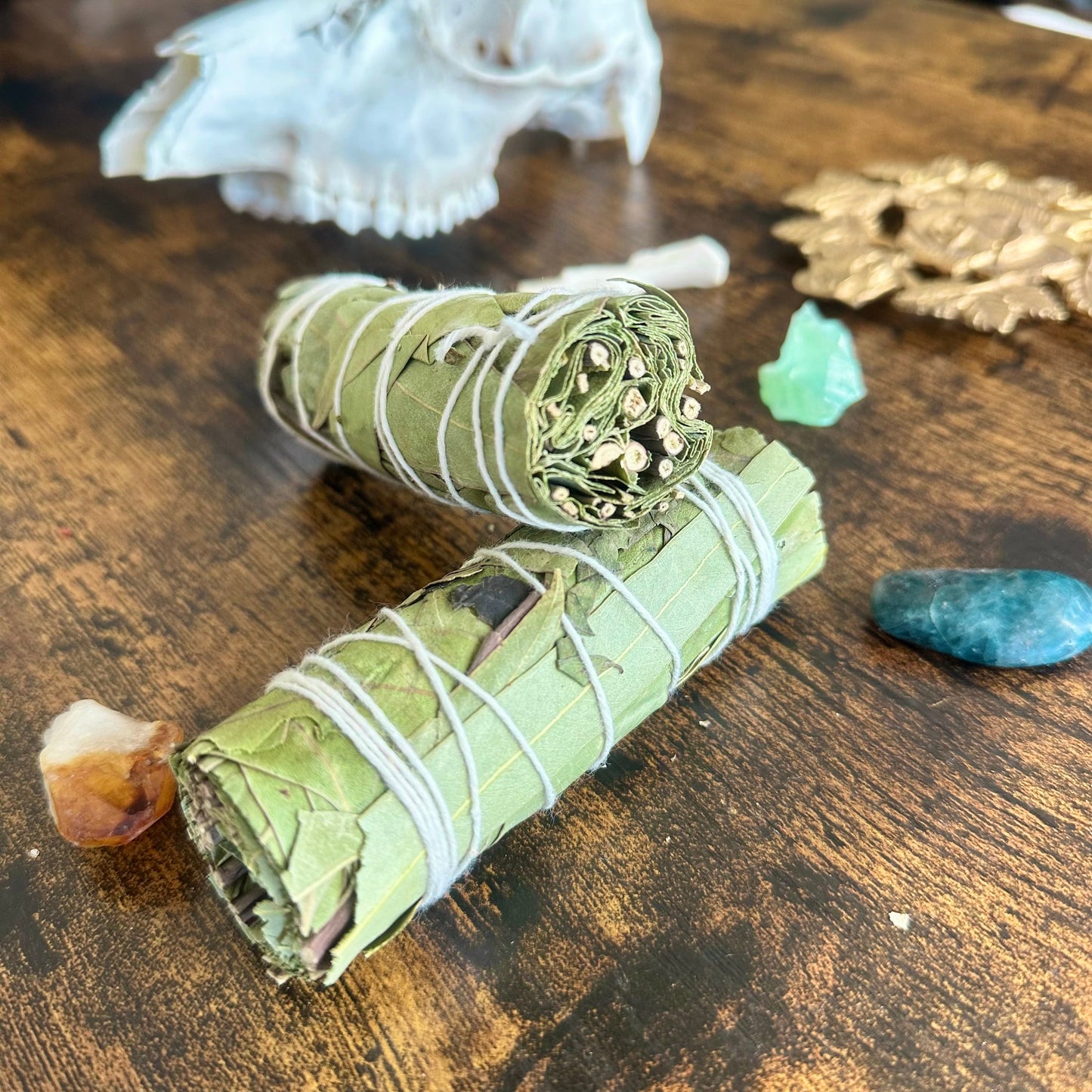 Rolled eucalyptus sage on a wooden surface with crystals and a skull
