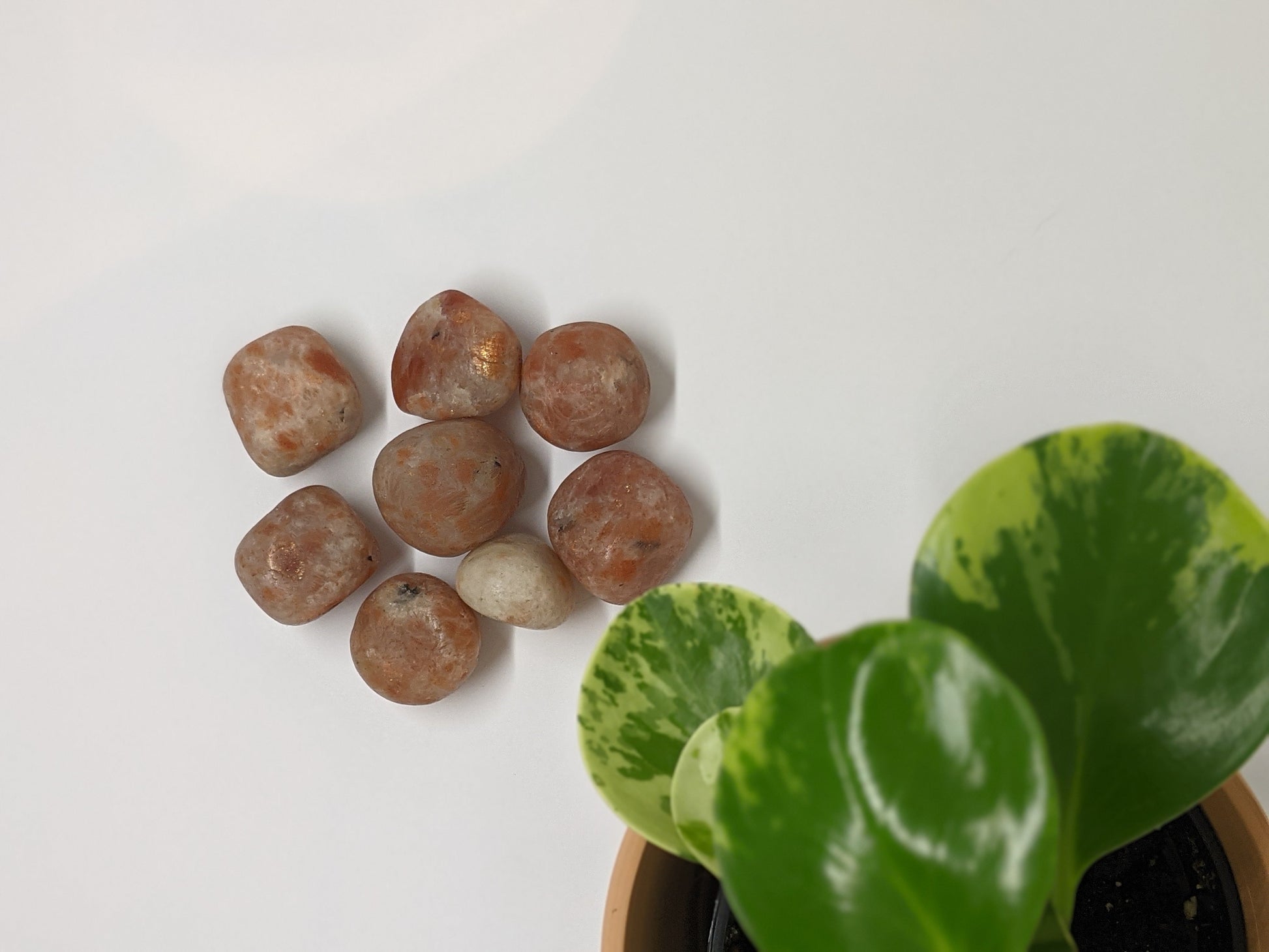 Natural sunstone crystal showing warm golden shimmer for abundance and leadership