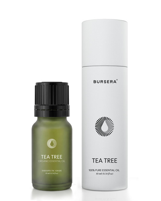 organic tea tree essential oil aromatherapy bottle and packaging on a white background