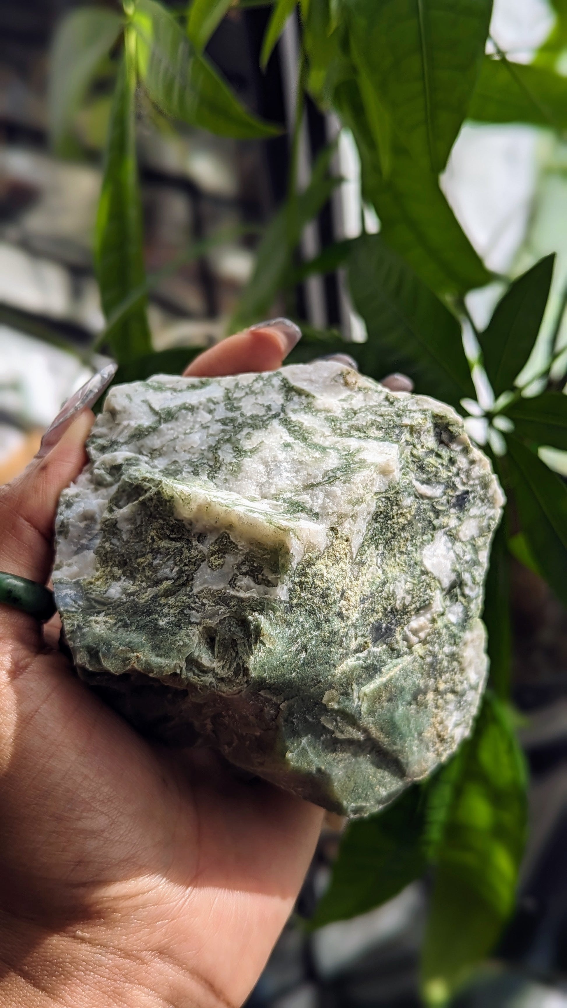 Growth and prosperity-inspiring tree agate crystal for abundance and emotional stability