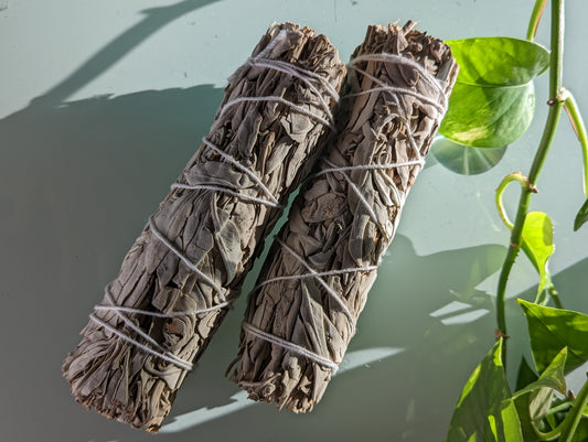 Large 6 inch white sage bundle for home cleansing, protection and energy clearing rituals