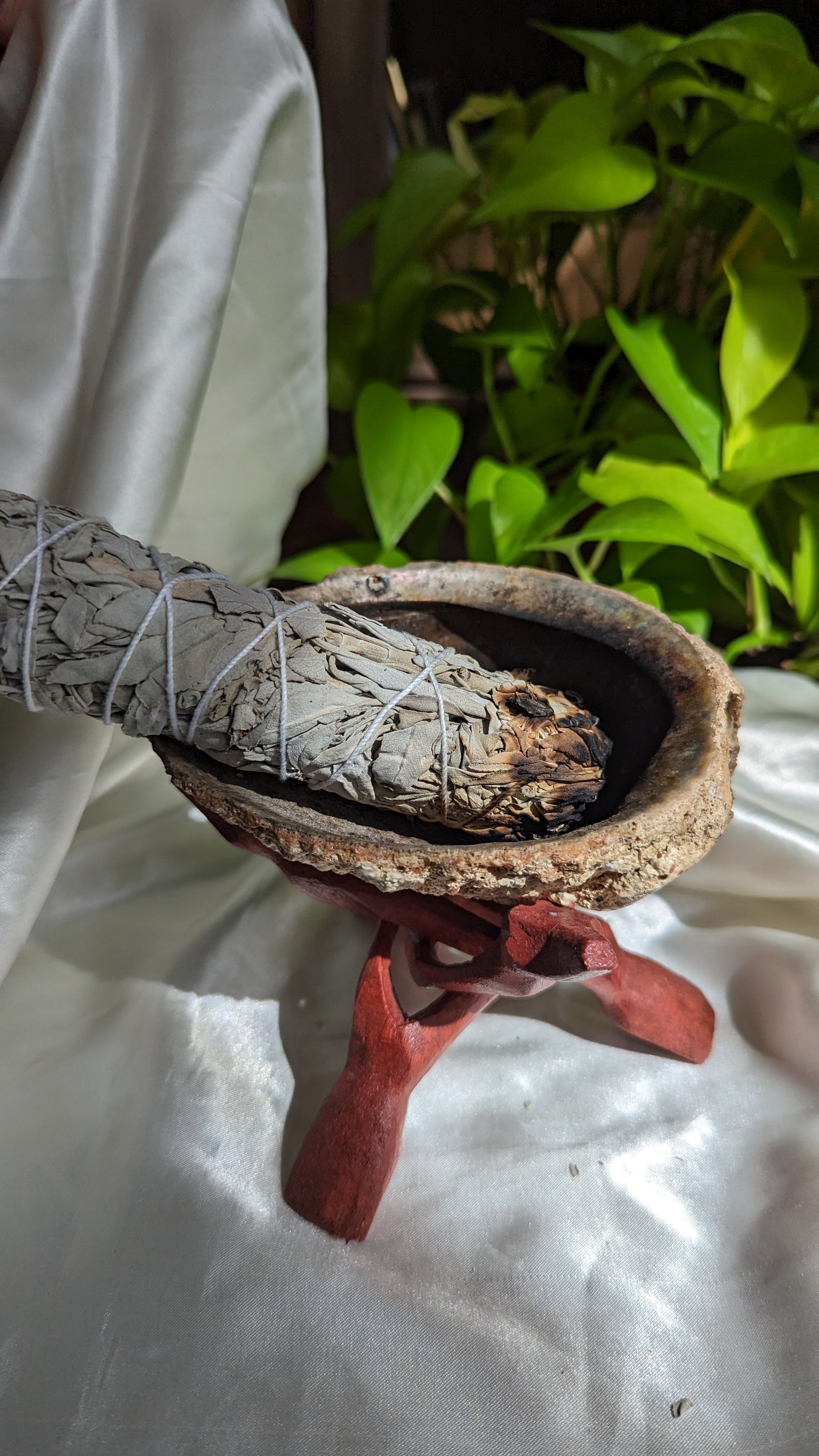 Deeply purifying white sage 6 inch smudge bundle for thorough space cleansing