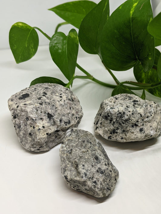 Dalmation Jasper Chunks - Best Life Apparel