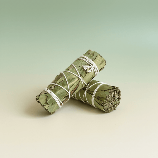 Eucalyptus Smudge Stick - Best Life Apparel