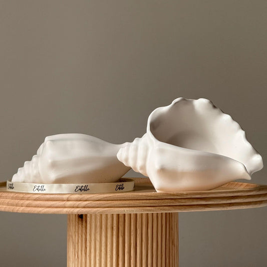 Jesmonite conch shell ring dish decorative jewelry holder