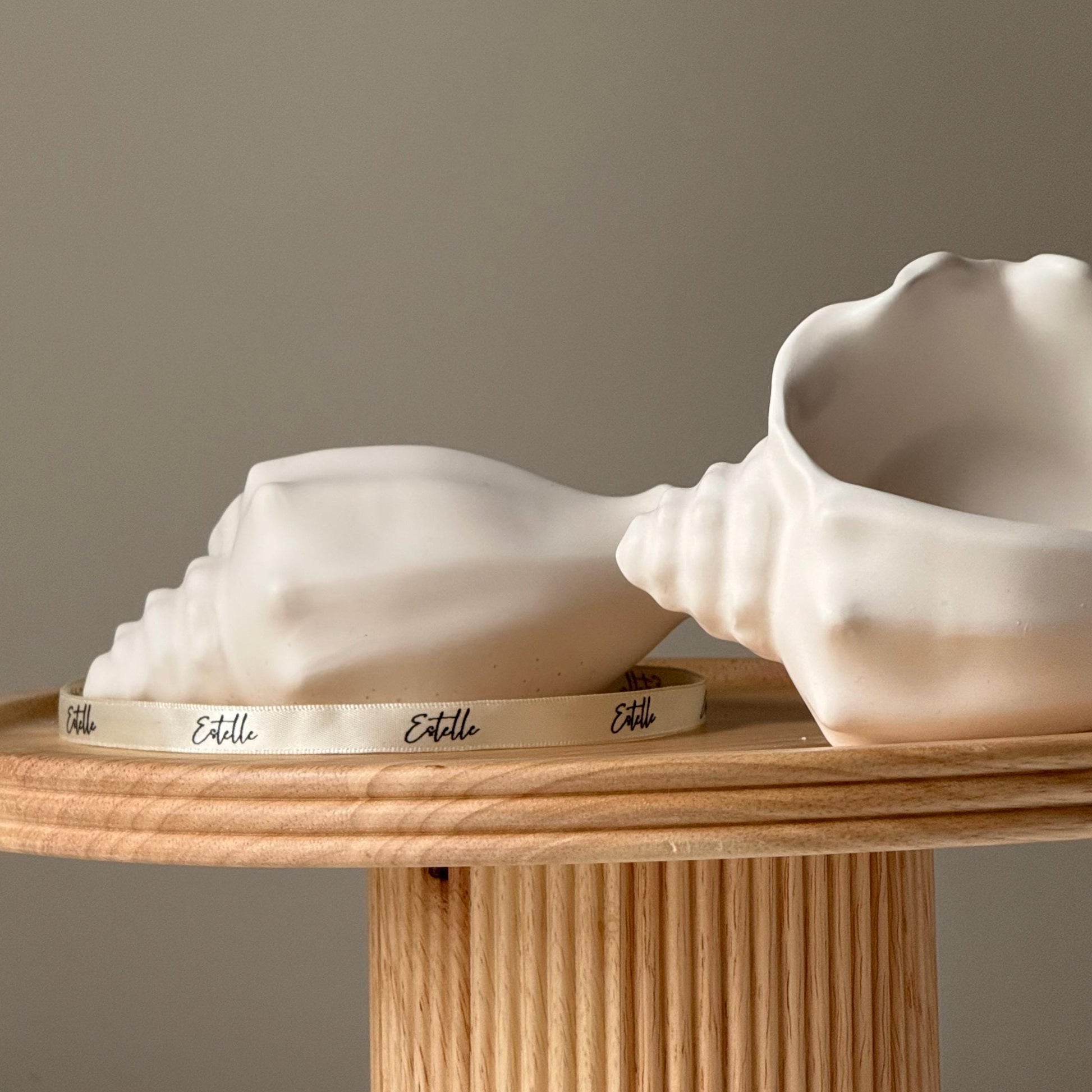 Conch shell jewelry dish jesmonite home decor side view