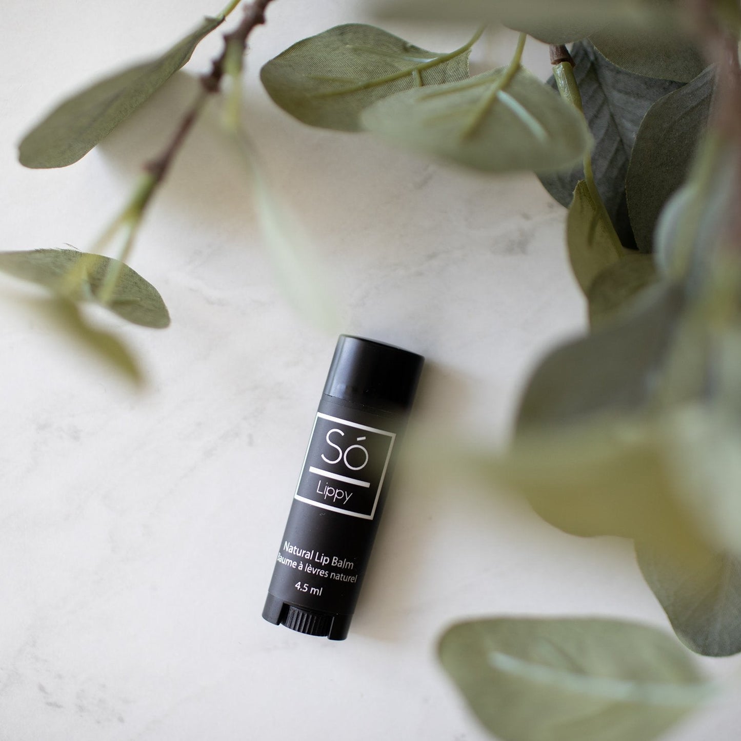 Natural lip balm with brand name on a light surface with green leaves in the foreground