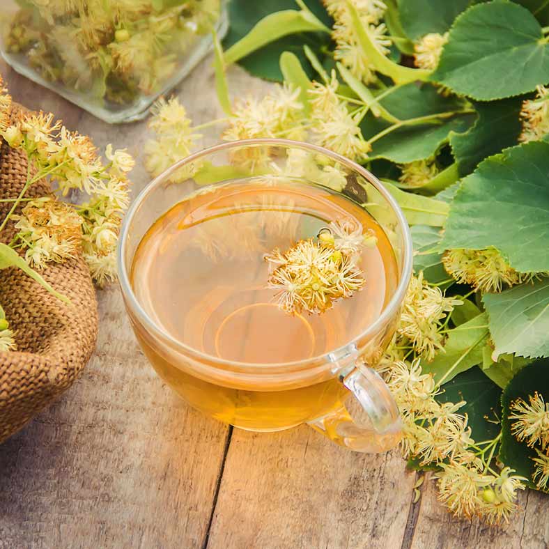 Linden Flower Tea - By Reyhana Organics - Best Life Apparel