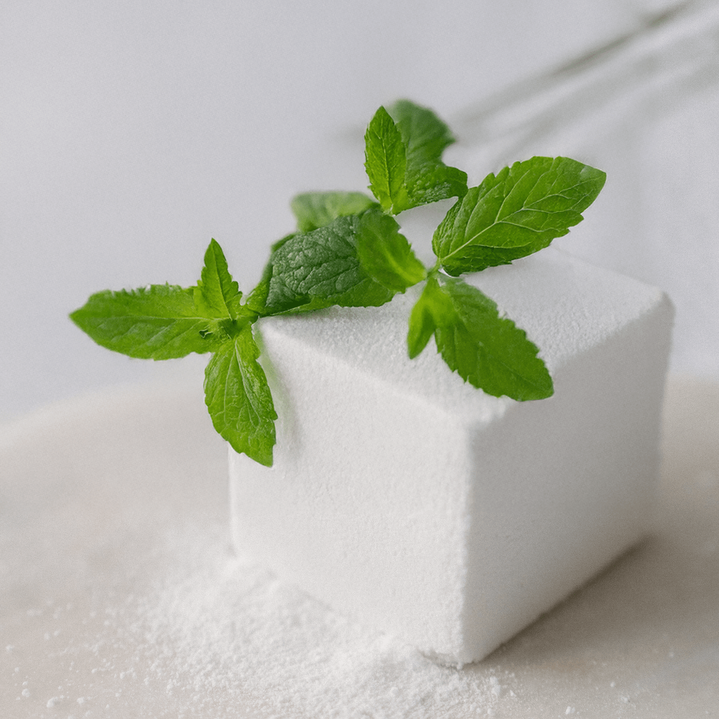 Mint Eucalyptus Bath Cube - Best Life Apparel