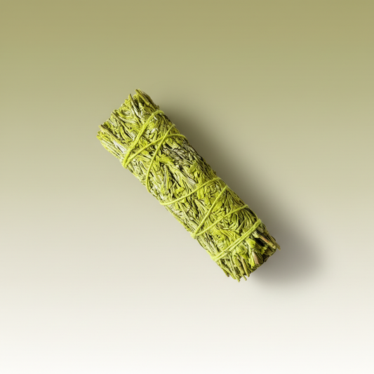 Patchouli Sage Smudge Stick Clean Background