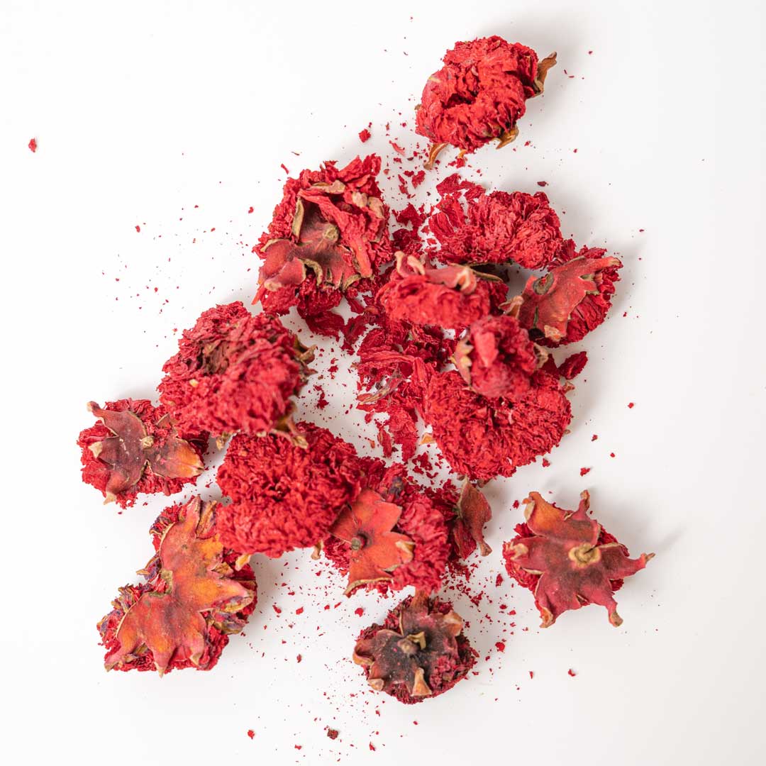 Pomegranate Flower Herbal Tea – Whole Dried Blossoms - By Reyhana Organics - Best Life Apparel