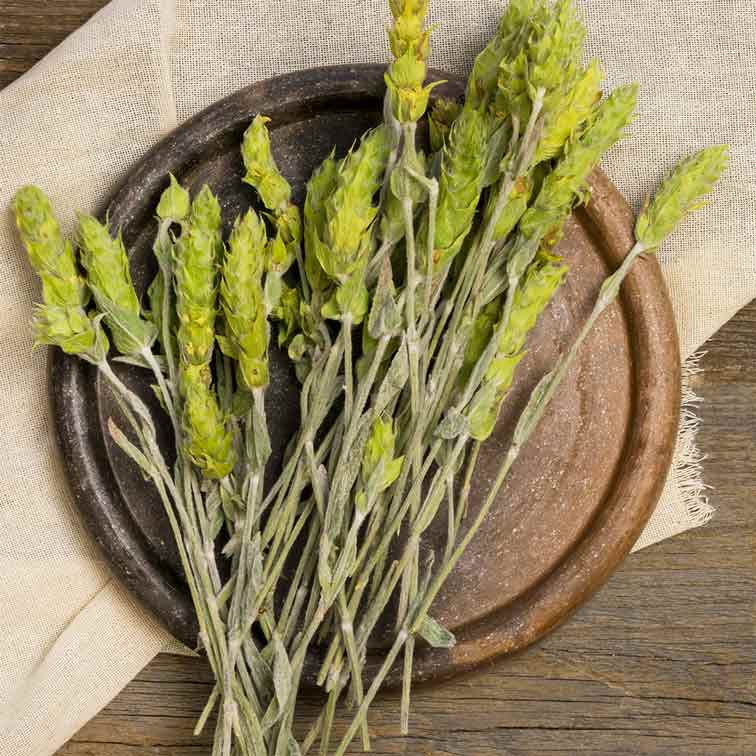 Sage crown whole flower herbal tea — traditional loose herb blend for hormonal balance and calm