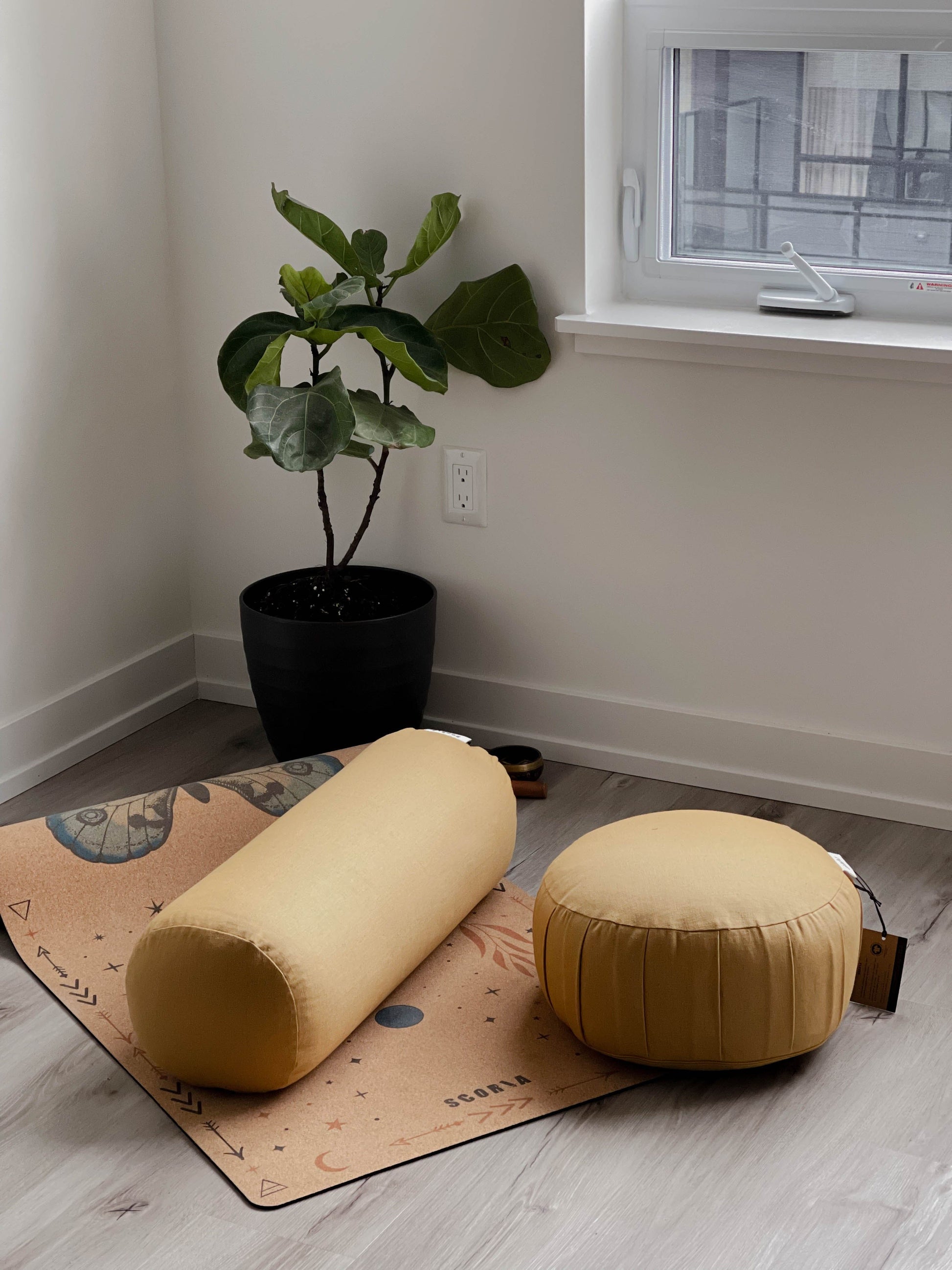Yoga mat with gold yoga bolster and gold meditation cushion in a room with a plant and window.