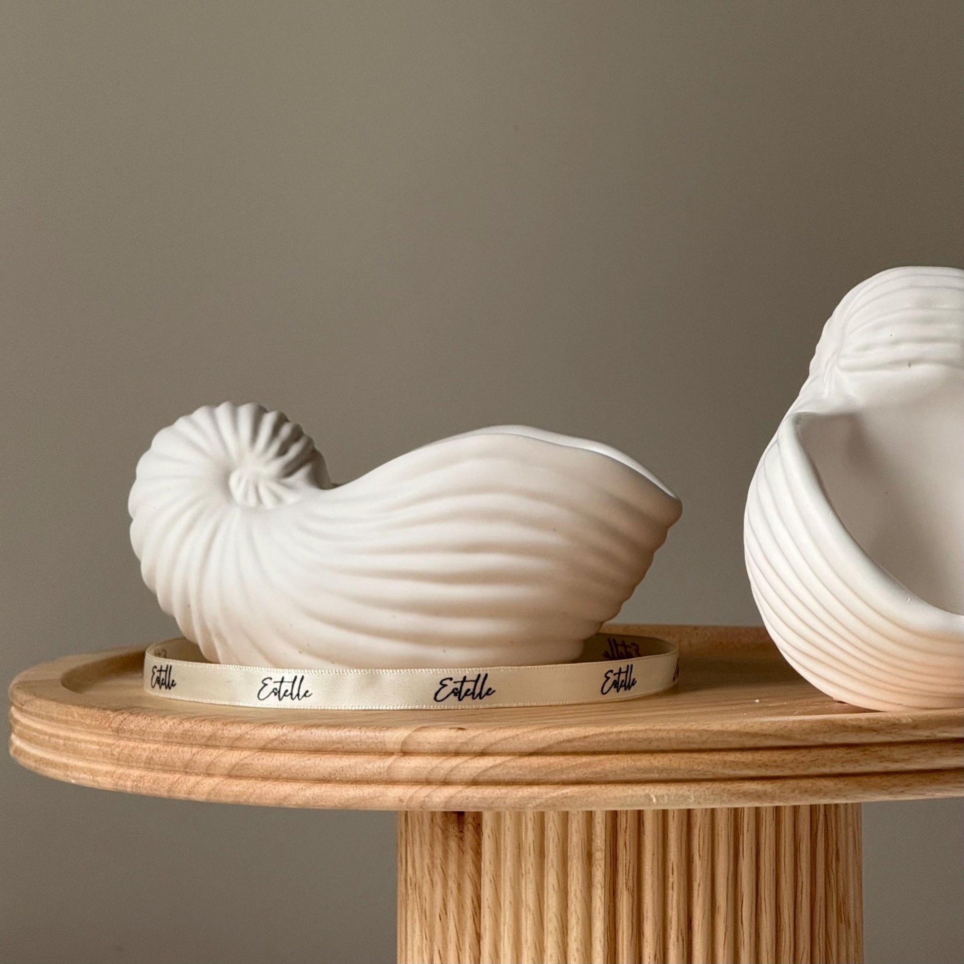 Sea Shell Jesmonite Trinket Tray | Jewelry Dish - Best Life Apparel