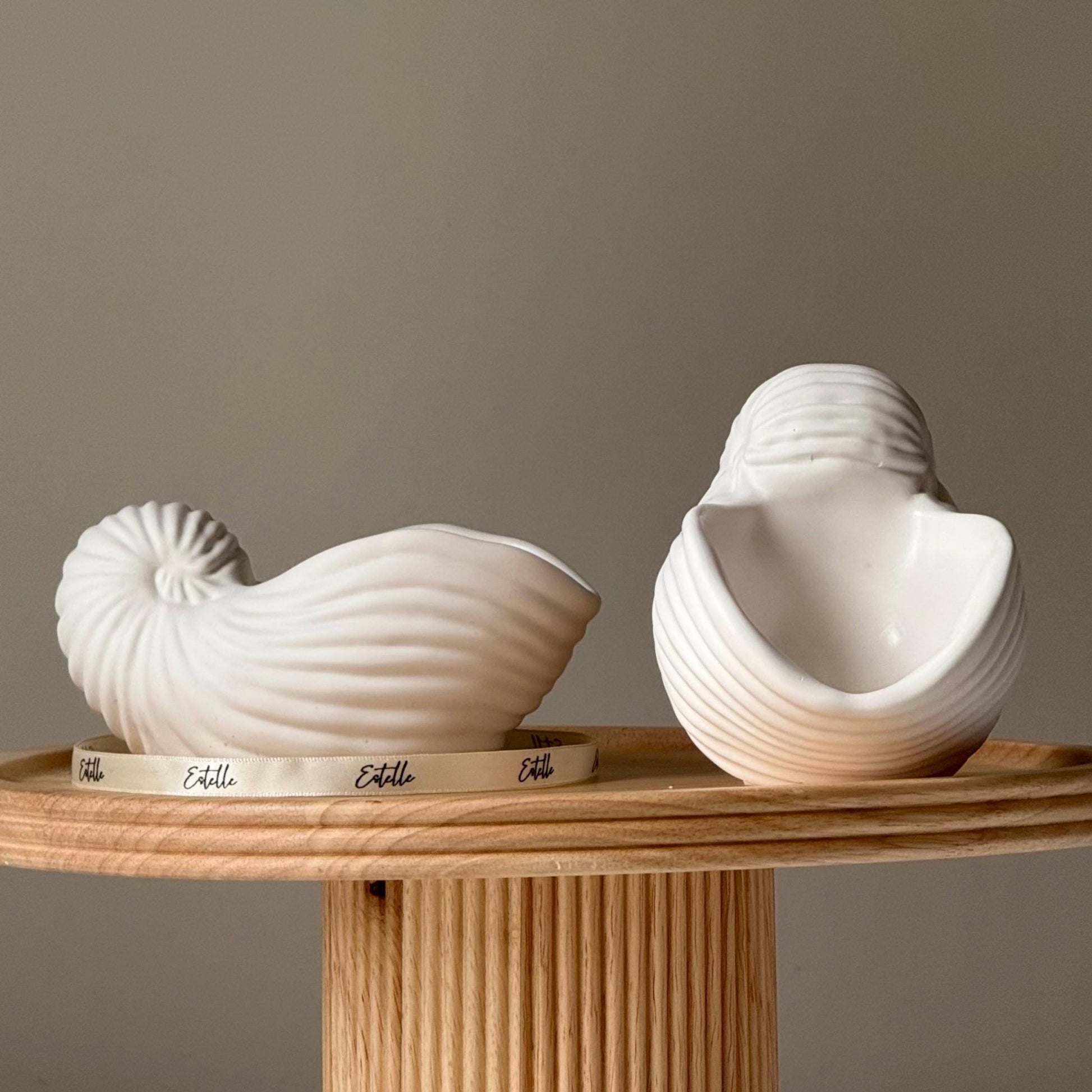 Sea Shell Jesmonite Trinket Tray | Jewelry Dish - Best Life Apparel
