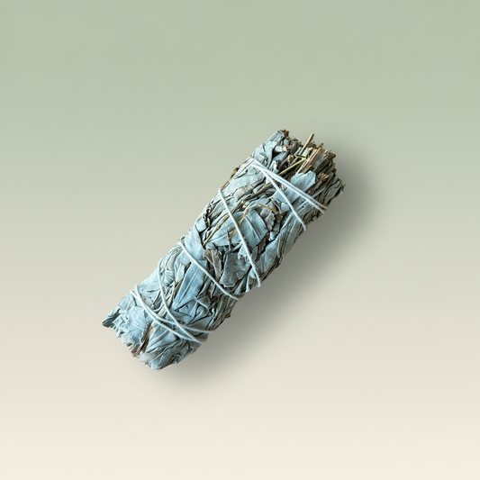 White Sage Smudge Stick Clean Background